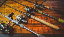 Basic Fishing Gear List